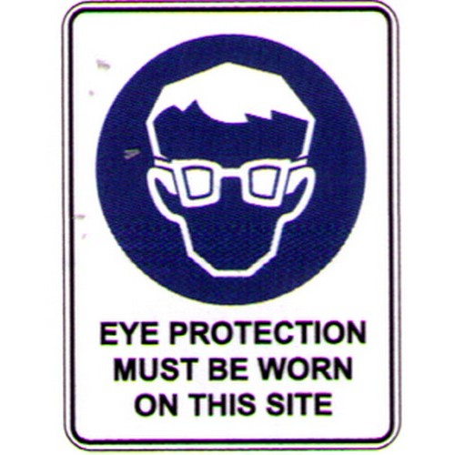 Metal 450x600mm Picto Eye Prot...On This Site Sign - made by Signage