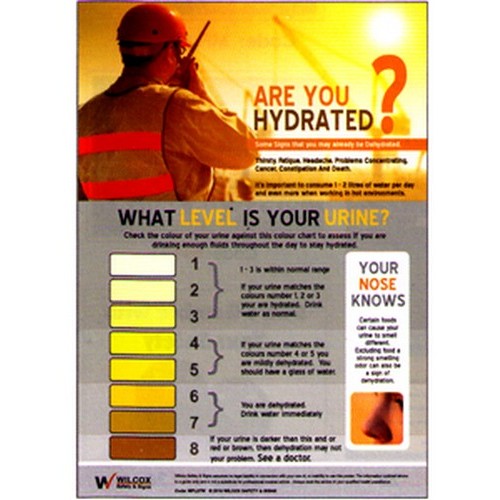 A3 Size Dehydration With Scale Poster